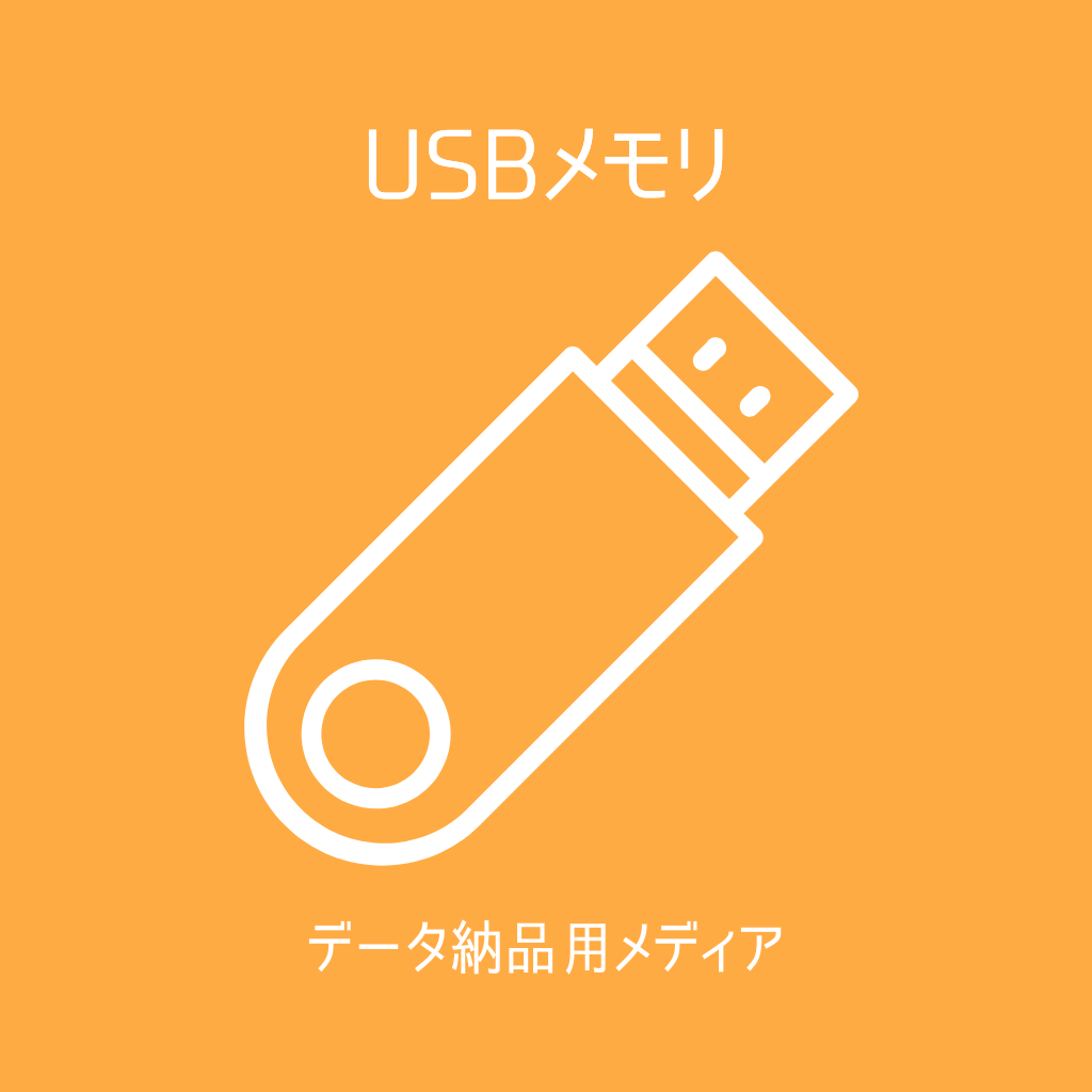 ドローン屋根調査｜データ納品用メディア（USBメモリ）の商品画像