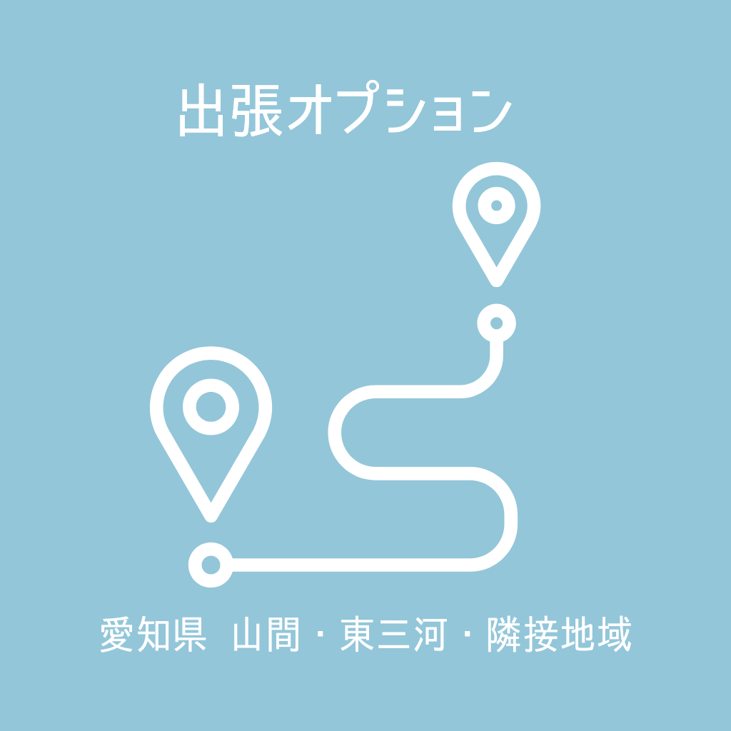 ドローン屋根調査｜出張の商品画像