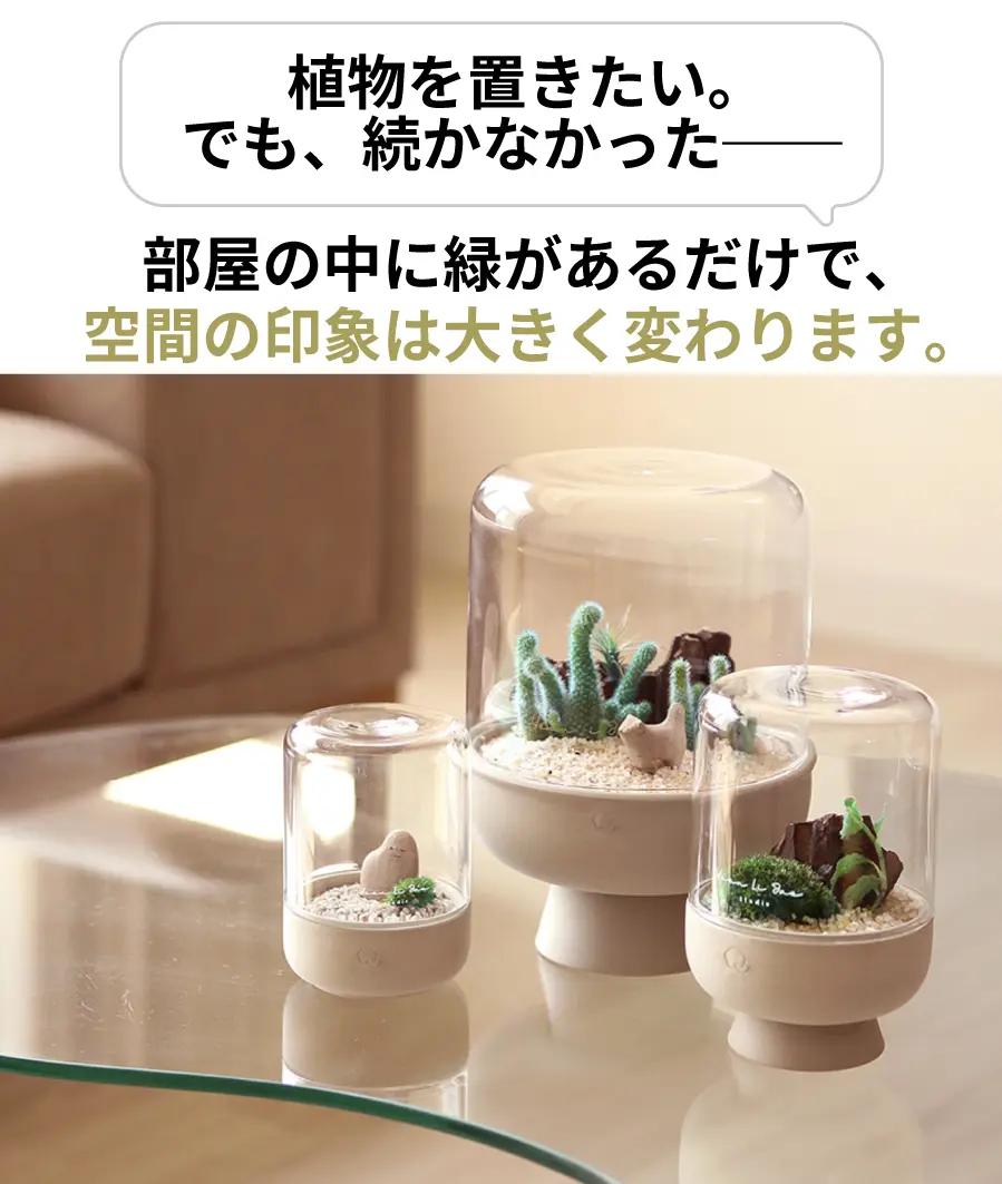 Yeonlijea】手軽に育てる 苔テラリウムインテリア