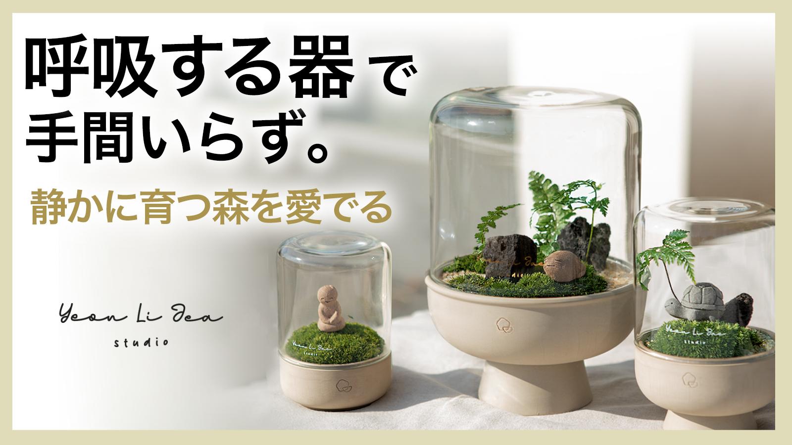 Yeonlijea】手軽に育てる 苔テラリウムインテリア