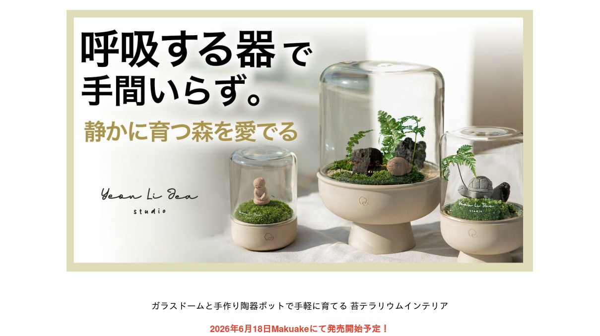 Yeonlijea】手軽に育てる 苔テラリウムインテリア