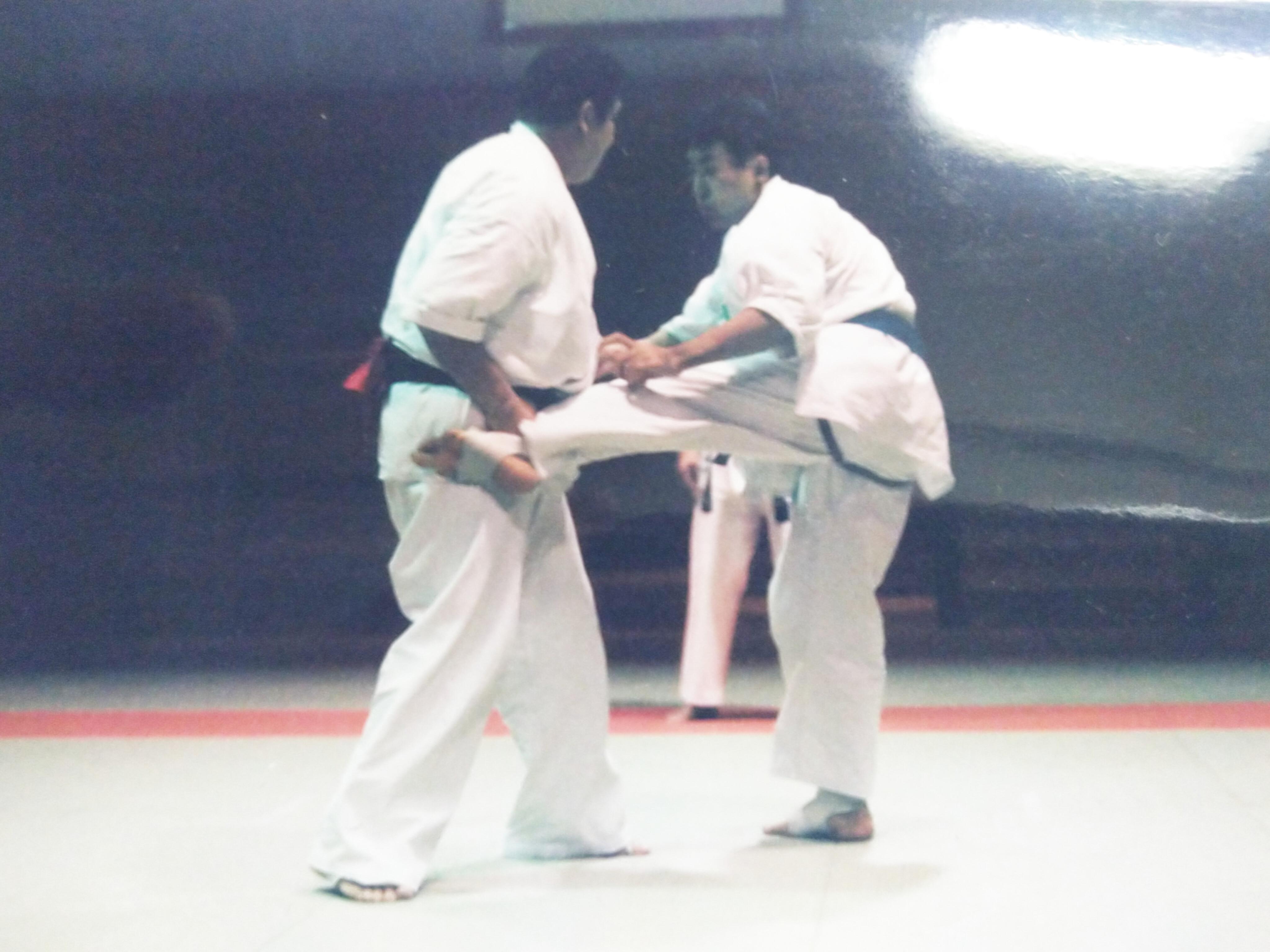 Right:Aikido Hatenkai – Master Tenkei Fujisaki