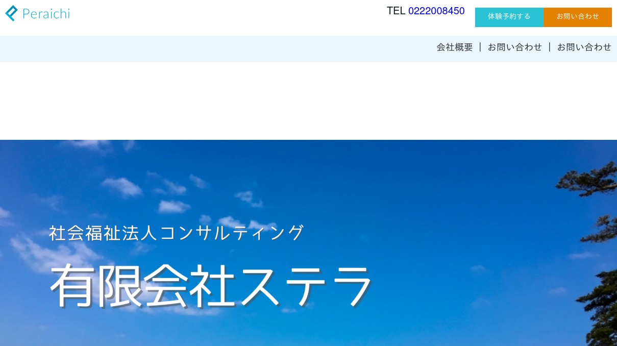 社会福祉法人コンサルティング　有限会社ステラ