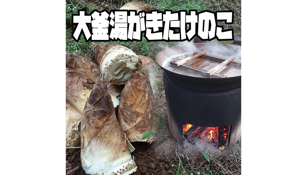 大釜湯がき筍（1Kg）の商品画像