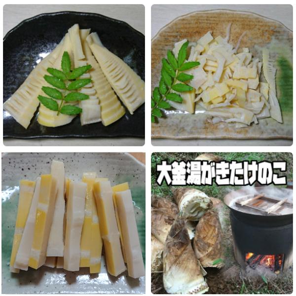 調理の手間なし！湯がきたけのこ3点セットの商品画像