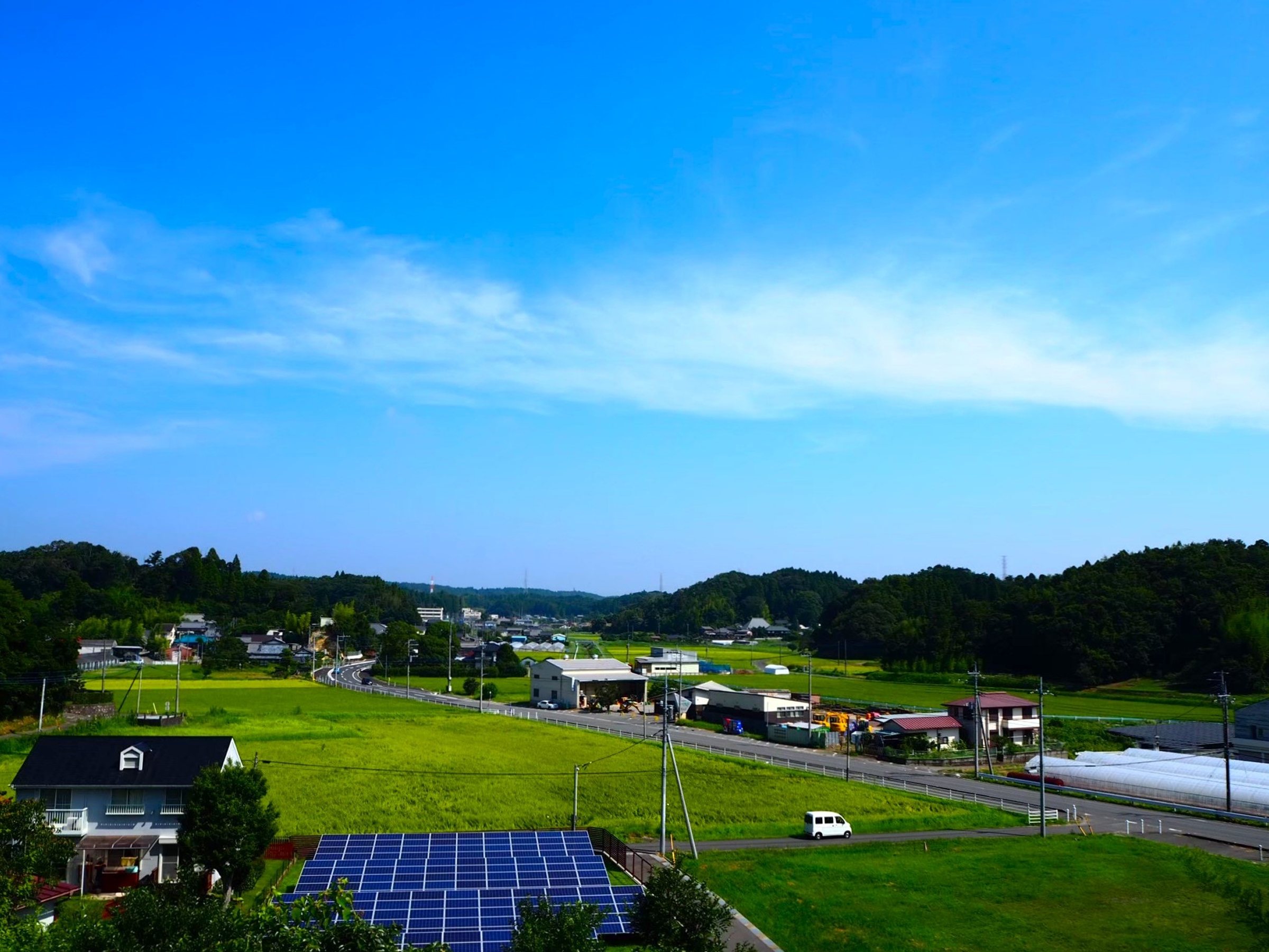 新治地区の田んぼの様子写真