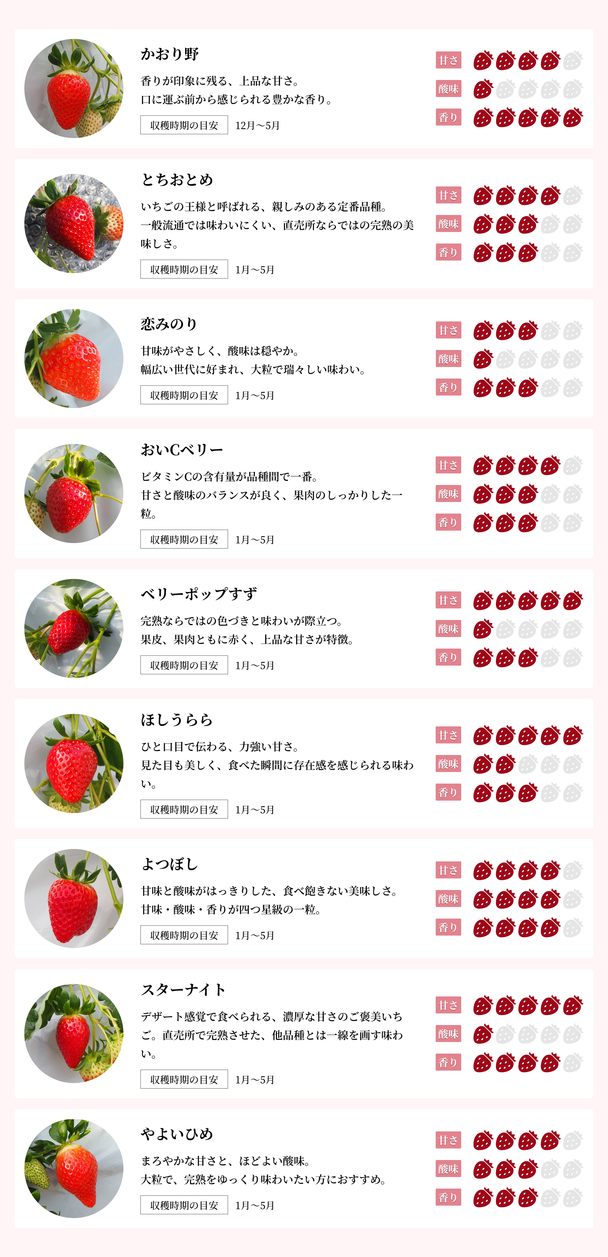 いちごの品種一覧画像