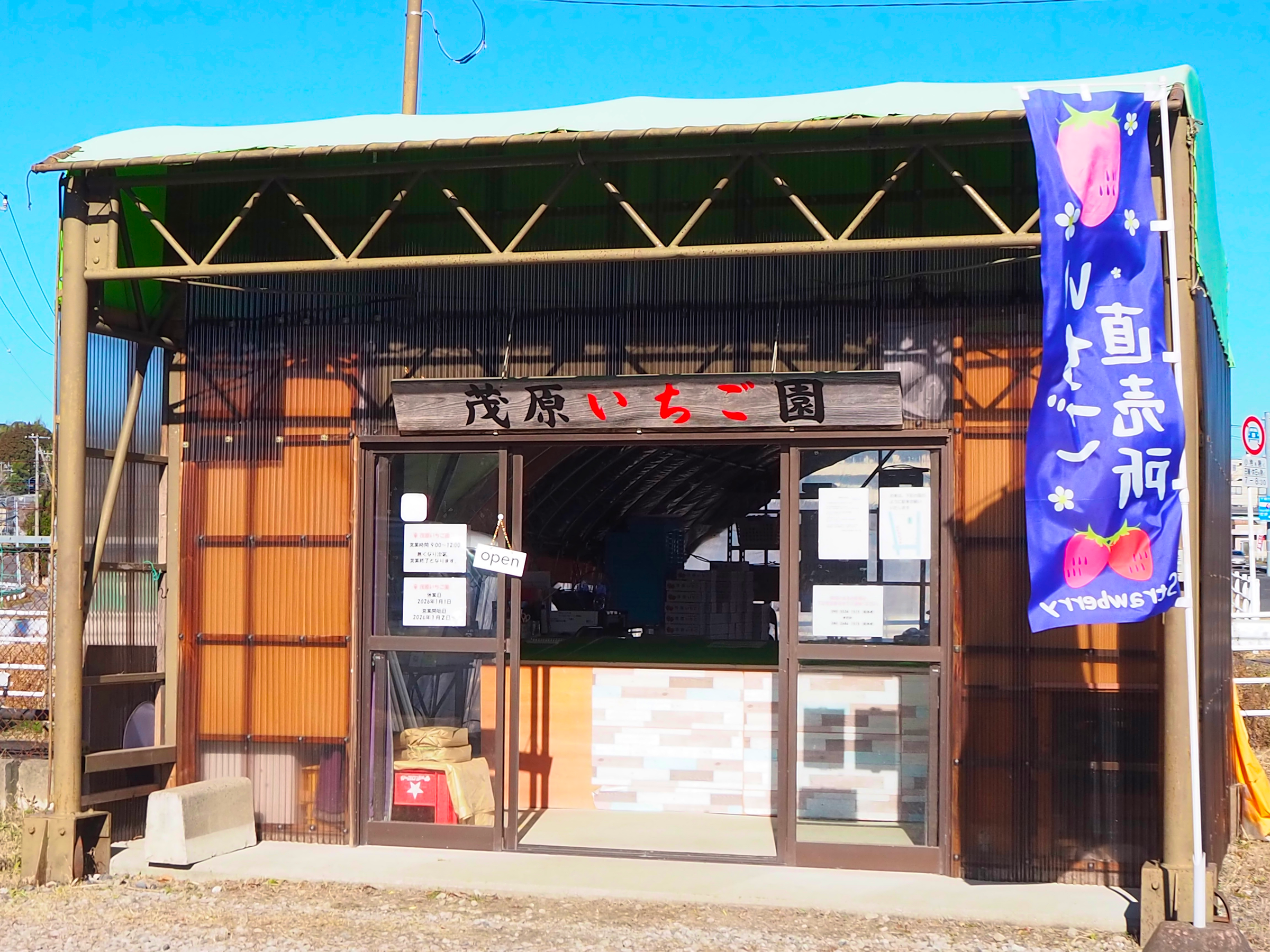 茂原 いちご 園