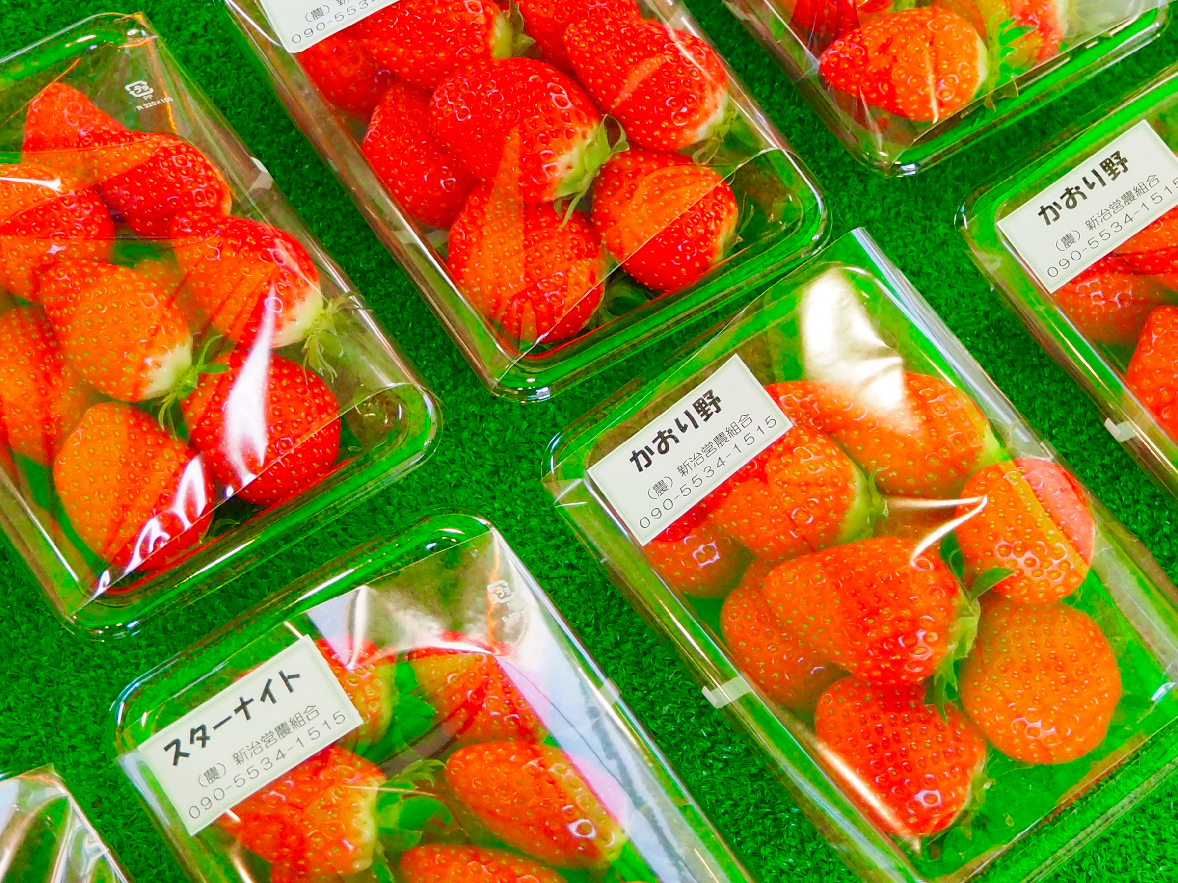 パック詰めいちごの写真