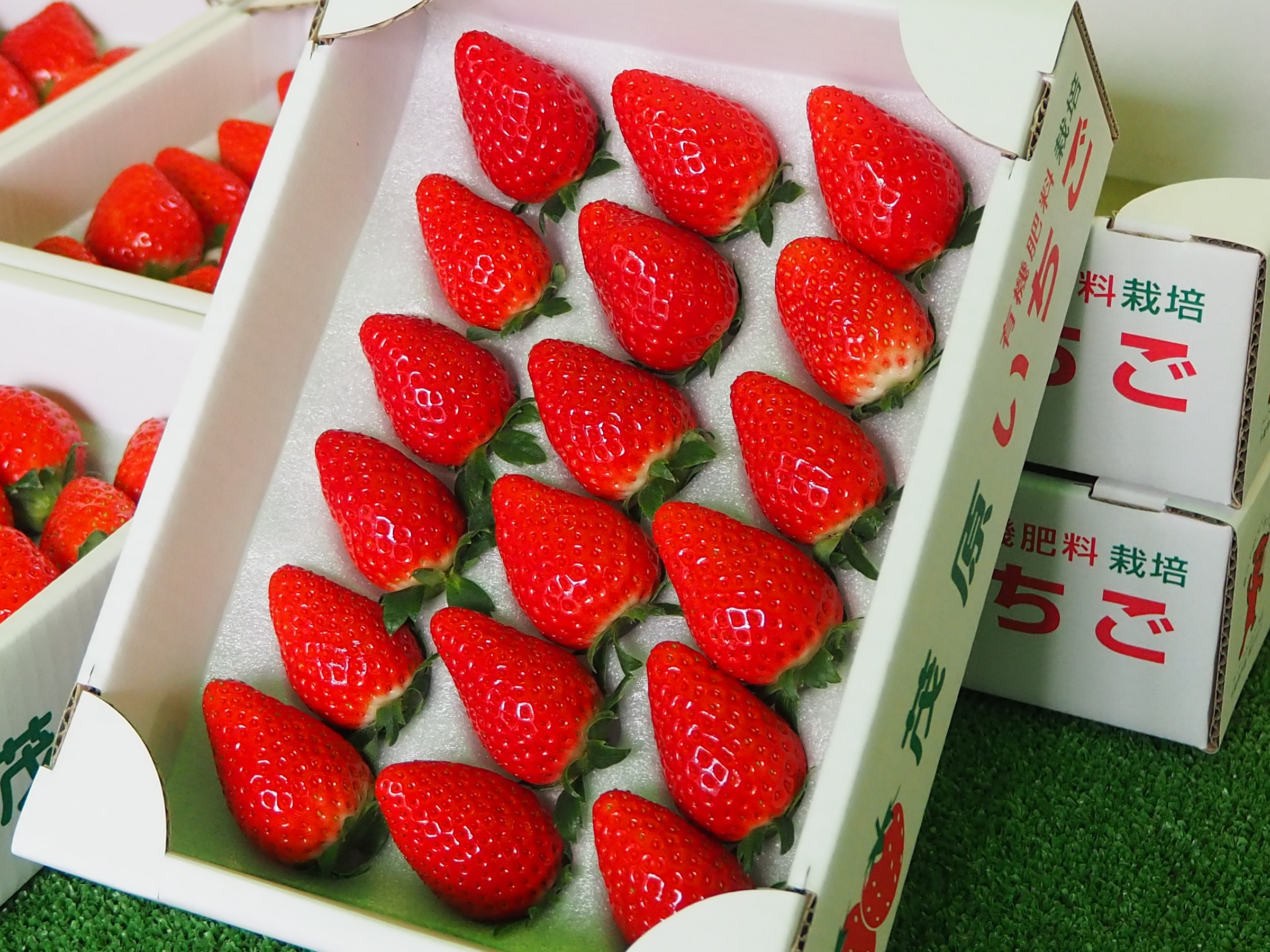 箱詰めいちごの写真