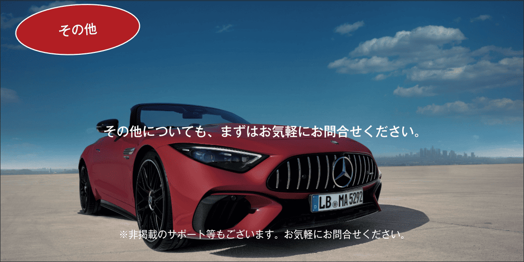 その他購入支援