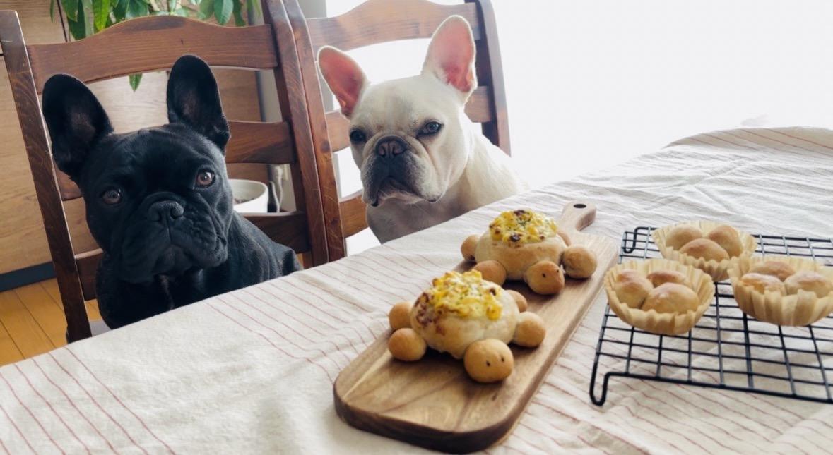 岐阜県羽島市　犬のパン
