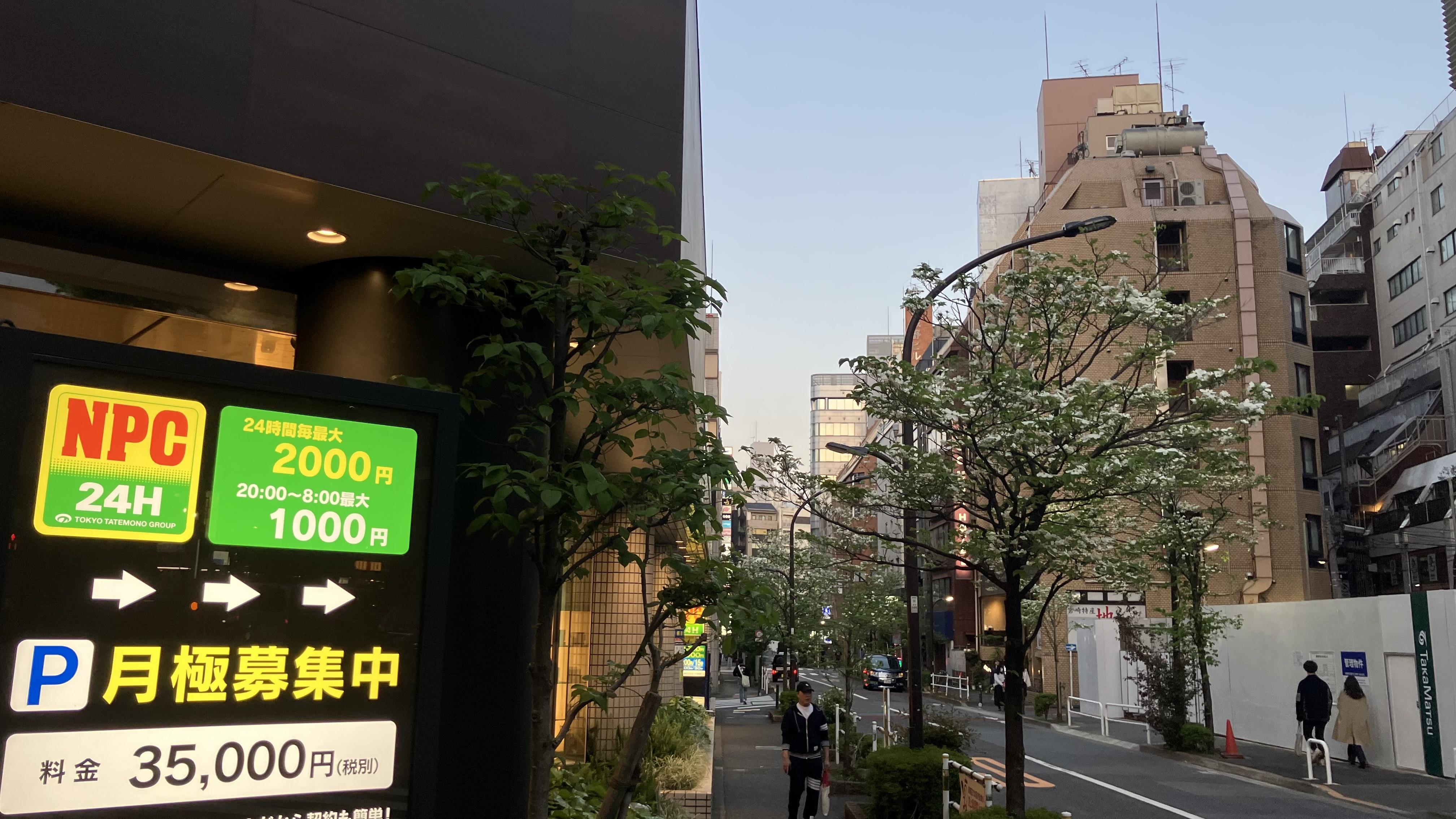 コインパーキングの看板と、白い花の街路樹が並ぶ新宿2丁目の通り