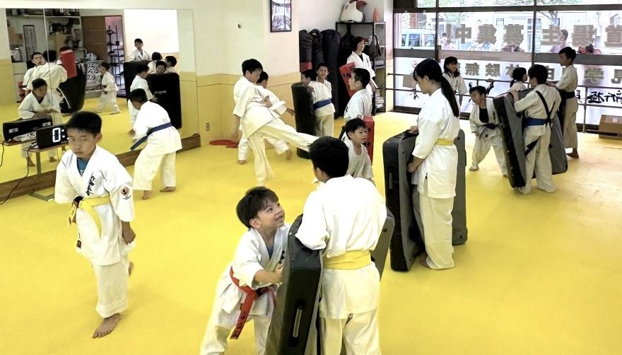 札幌の空手道場で幼児〜小学生がミット打ちに集中する少年部の稽古風景