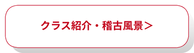 子供から大人まで、クラス別の空手稽古内容と指導風景を確認する
