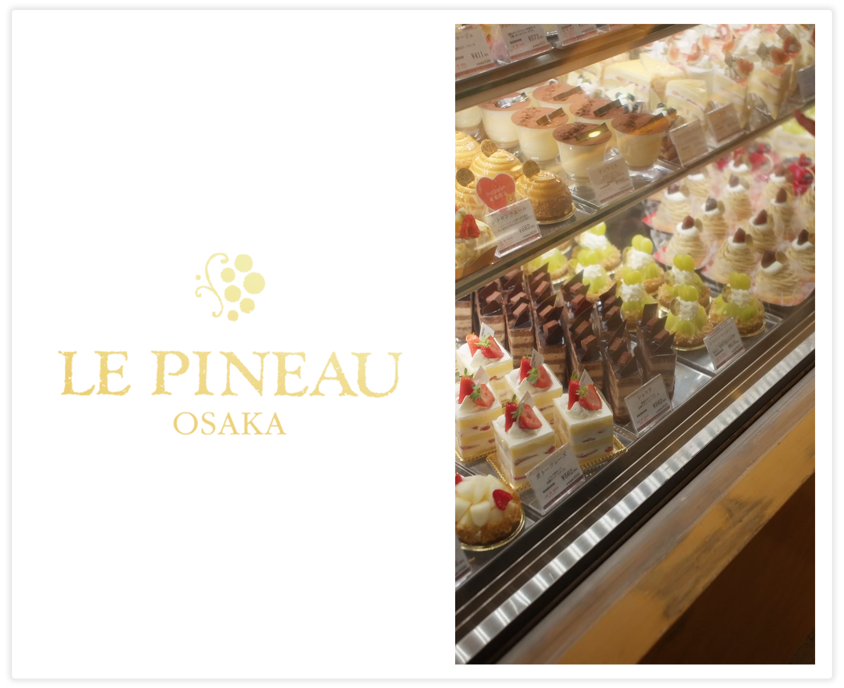 プロモーション映像実績画像