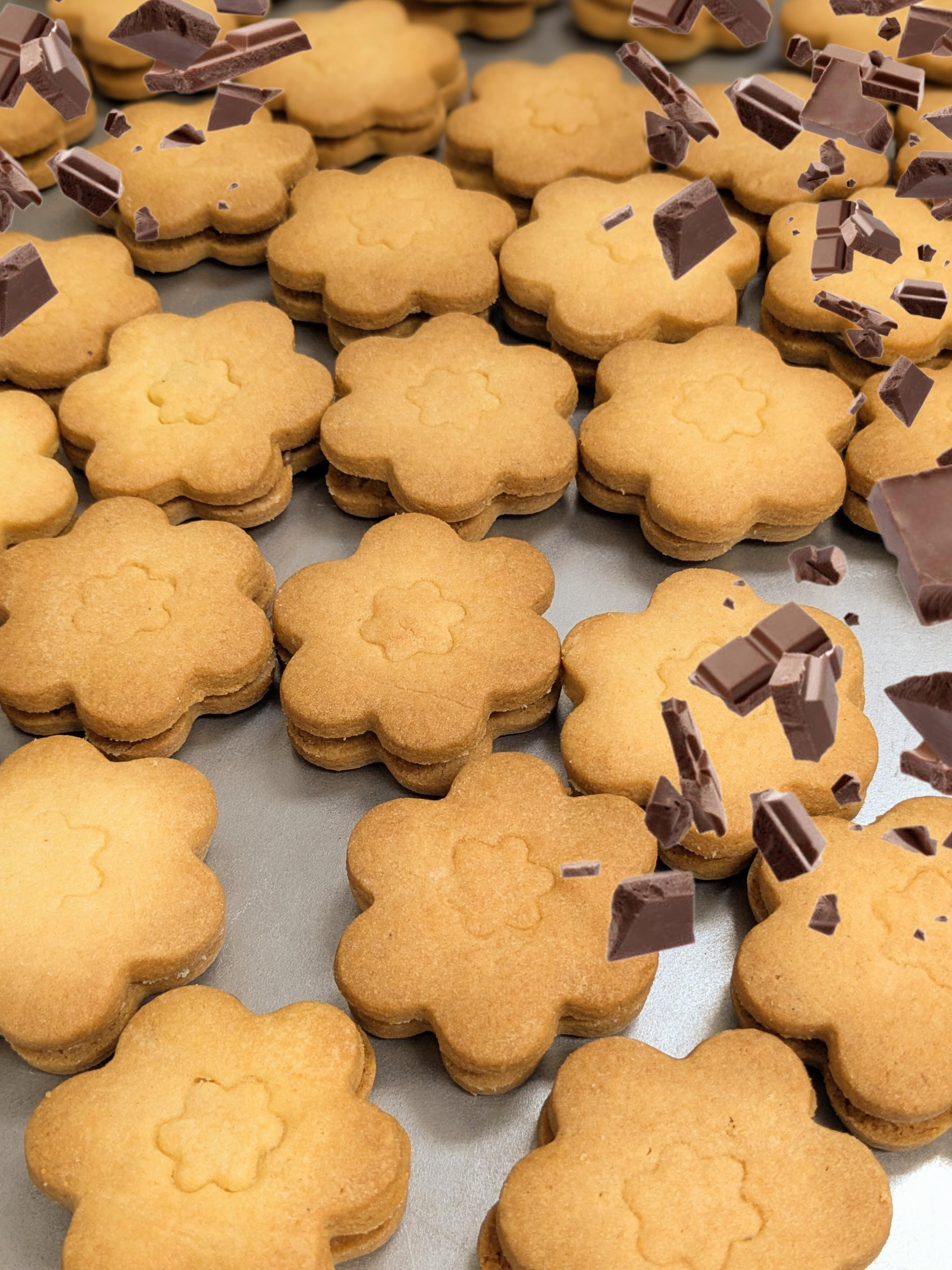 ショコラサンドギフト箱１２個入りの商品画像