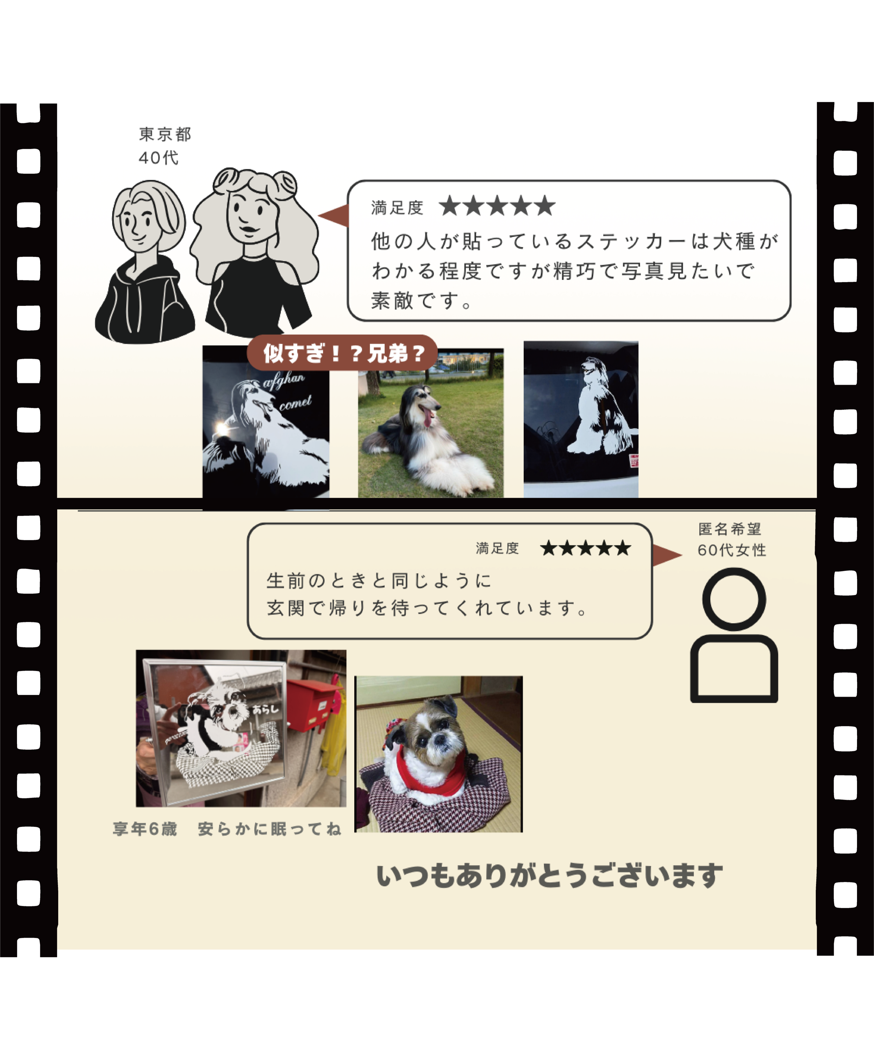 PAWMARK お客様の声。アフガンハウンドとシーズーのオーダーメイドステッカー購入者レビュー「他の人が見ても犬種がすぐにわかるほど再現度が高い」