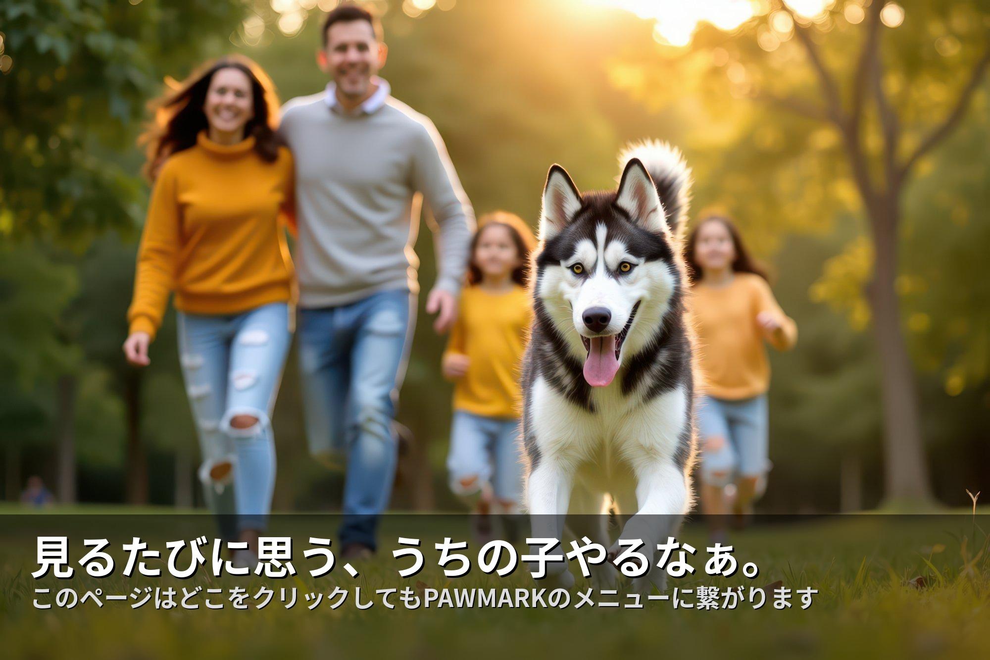 家族と芝生を走るハスキー犬の写真から作るPAWMARKオーダーメイドペットステッカー