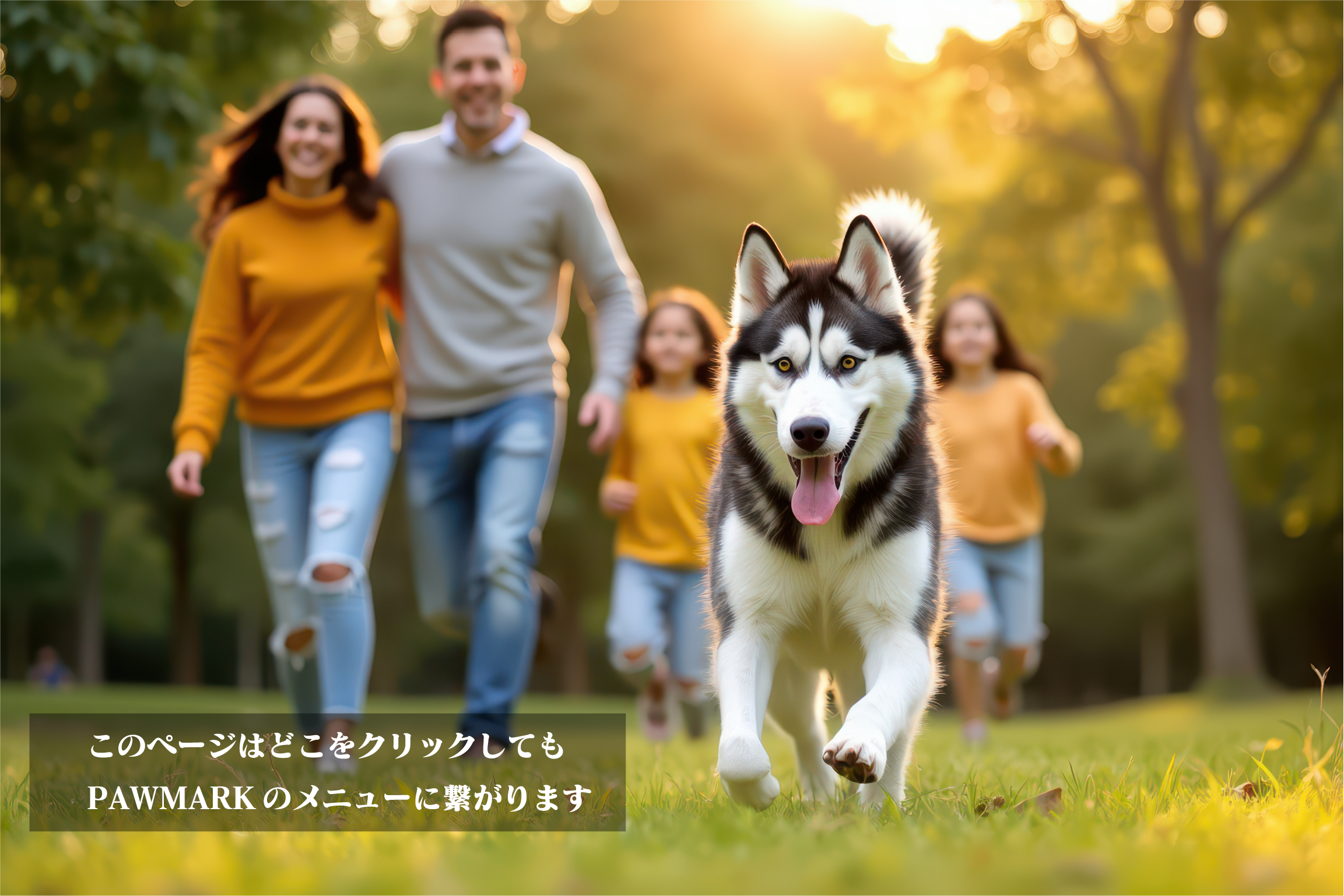 家族と芝生を走るハスキー犬の写真から作るPAWMARKオーダーメイドペットステッカー
