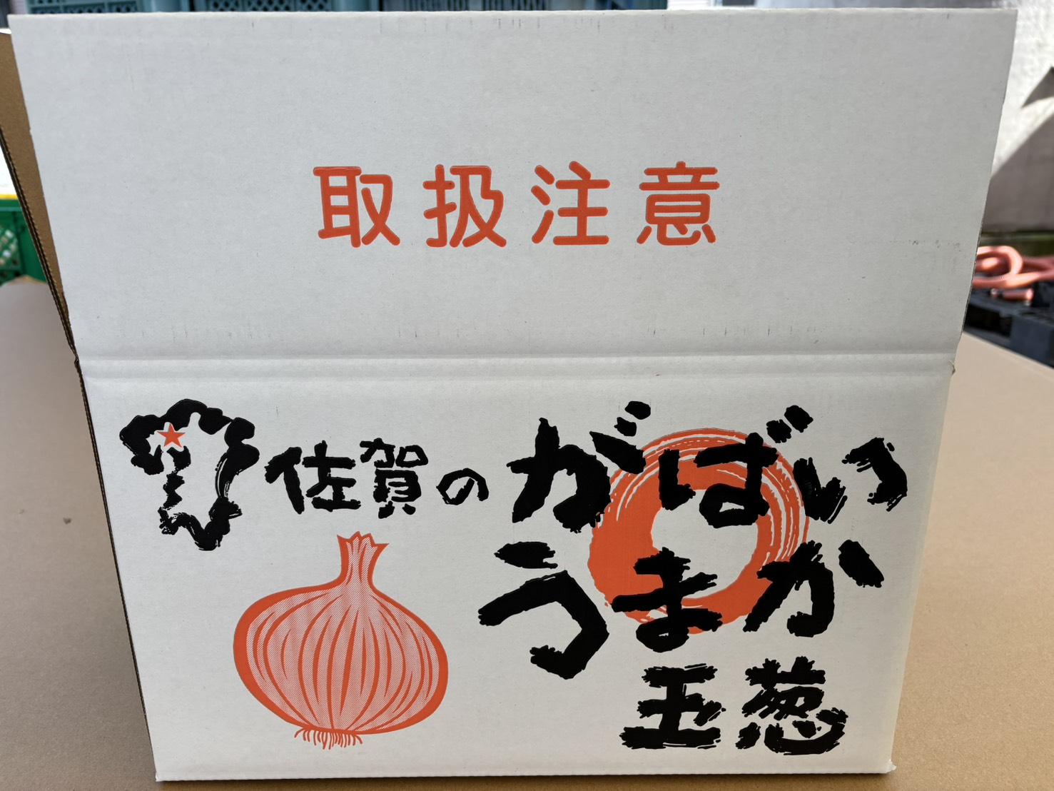 佐賀県産　玉ねぎ　2L以上サイズ混合10キロ　箱入りの商品画像