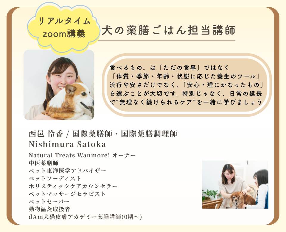 犬の薬膳ごはんとおうち養生塾　犬の薬膳　わんこ薬膳　西邑怜香先生　dAm犬猫皮膚アカデミー