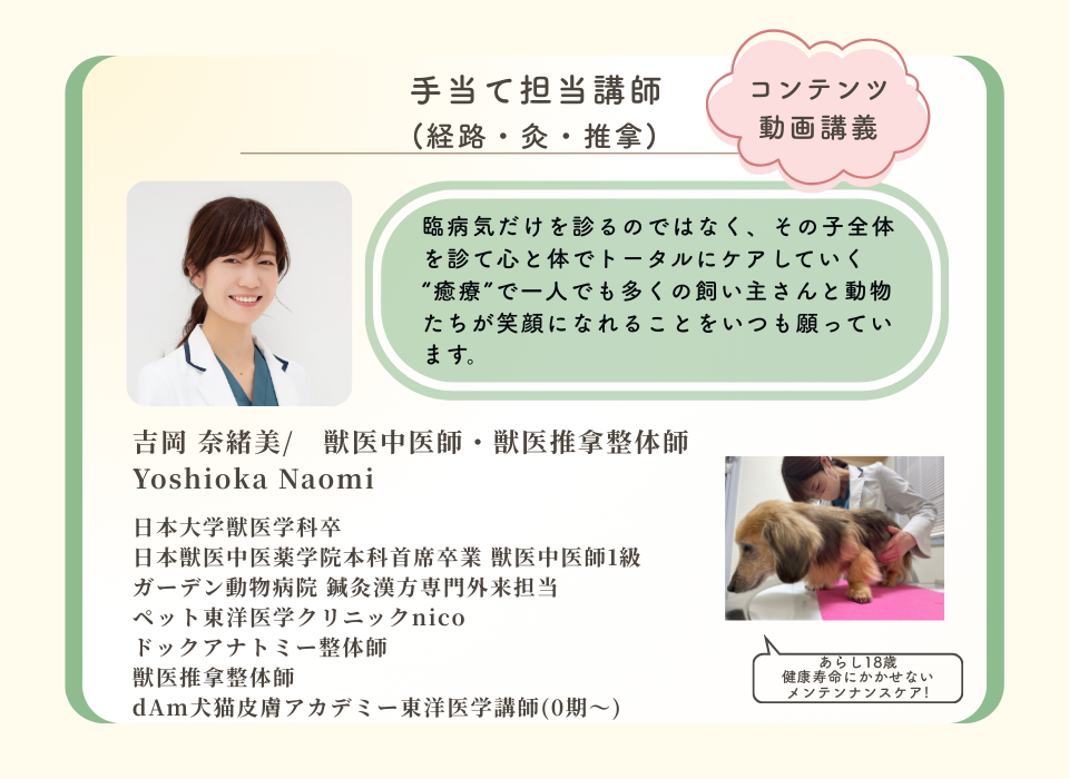 dAm犬猫皮膚アカデミーが展開する「犬の薬膳ごはんとおうち養生塾」2026年3月開講　吉岡奈緒美先生