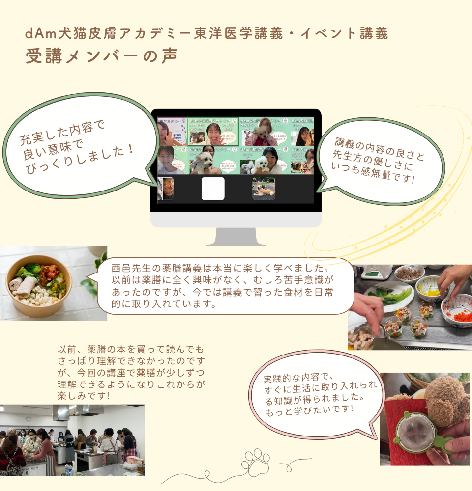 dAm犬猫皮膚アカデミーが展開する「犬の薬膳ごはんとおうち養生塾」2026年3月開講