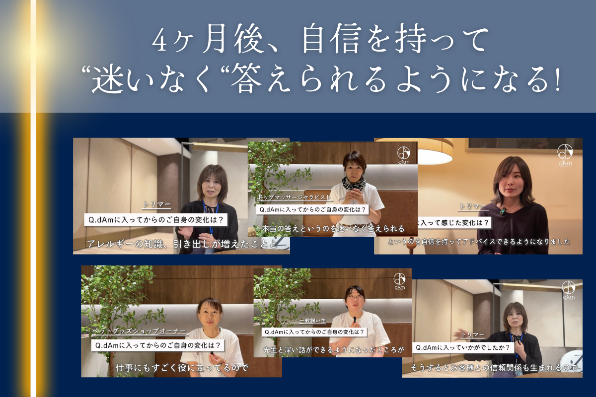 dAm犬猫皮膚アカデミー　インタラクティブ3期　2026年3月開講　エントリー受付中