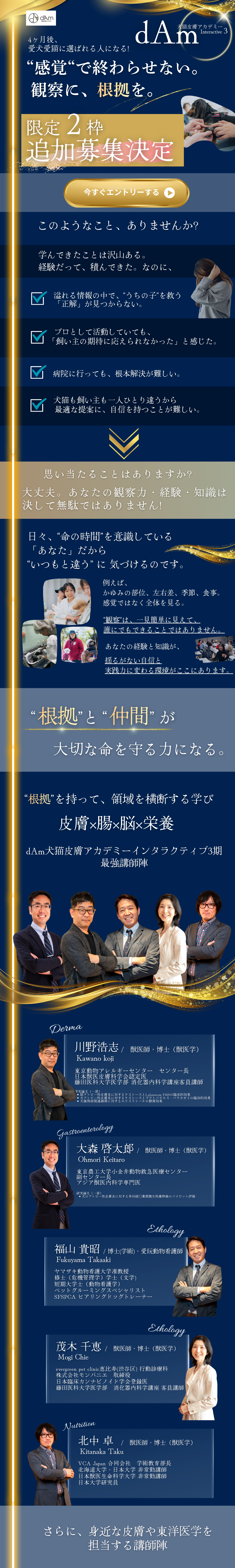 dAm犬猫皮膚アカデミー　インタラクティブ3期　2026年3月開講　エントリー受付中