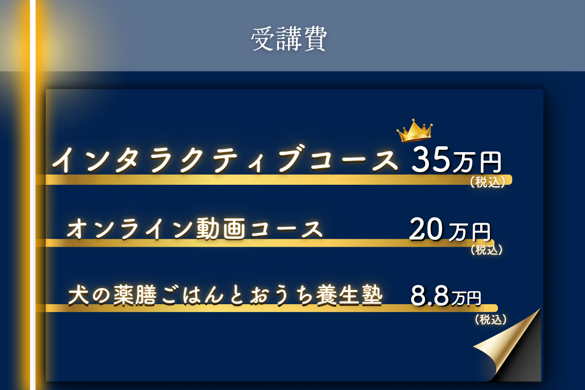 dAm犬猫皮膚アカデミー　インタラクティブ3期　3月開講　エントリー受付中