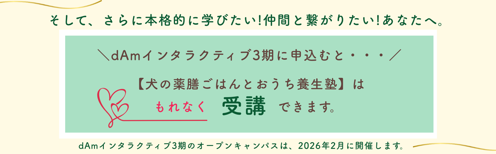 dAm犬猫皮膚アカデミーが展開する「犬の薬膳ごはんとおうち養生塾」2026年3月開講