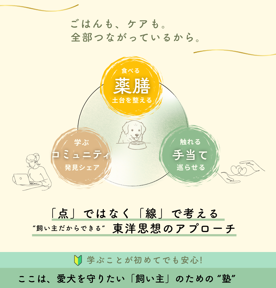 dAm犬猫皮膚アカデミーが展開する「犬の薬膳ごはんとおうち養生塾」2026年3月開講