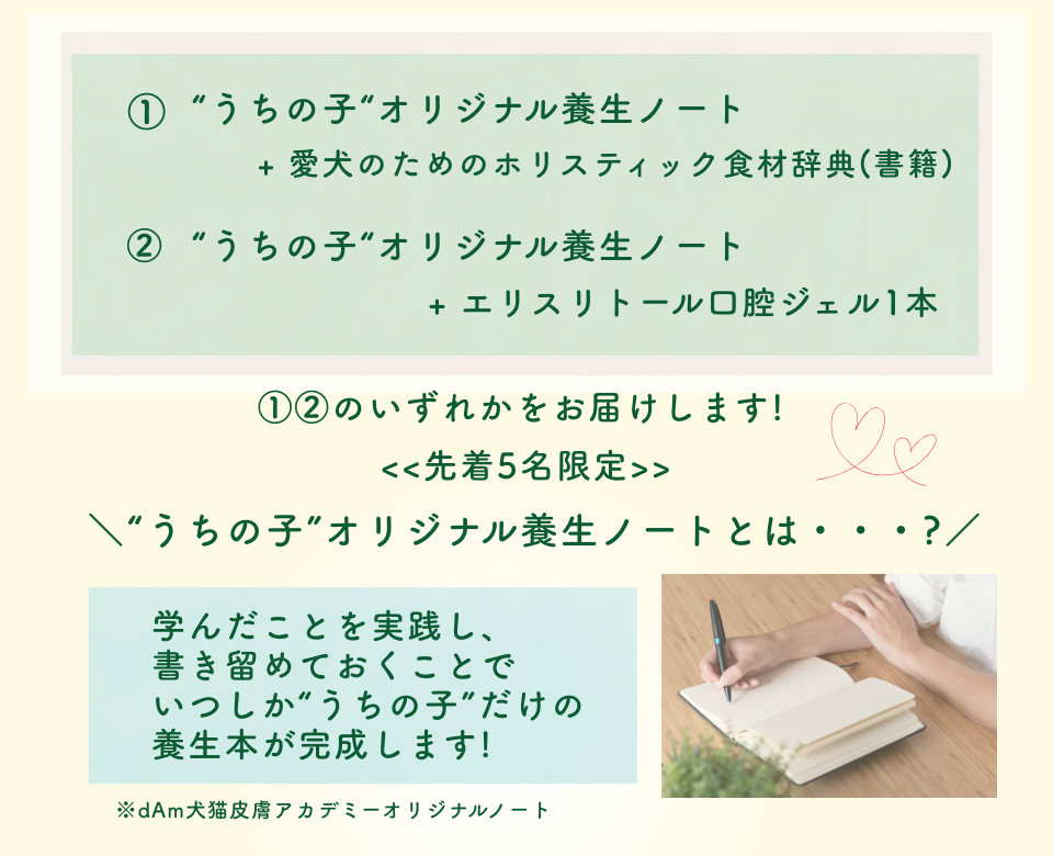 dAm犬猫皮膚アカデミーが展開する「犬の薬膳ごはんとおうち養生塾」2026年3月開講
