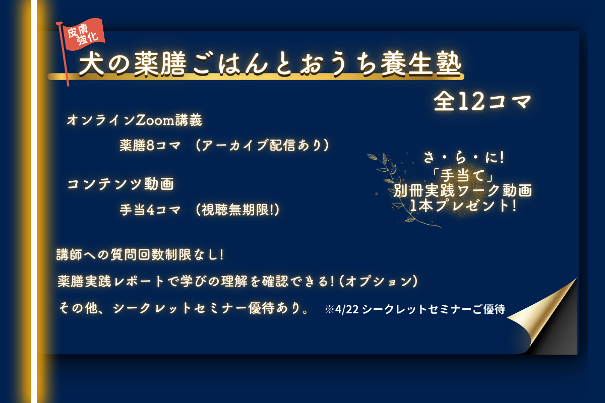 犬の薬膳ごはんとおうち養生塾　今期限定! 東洋医学を学べるチャンス
