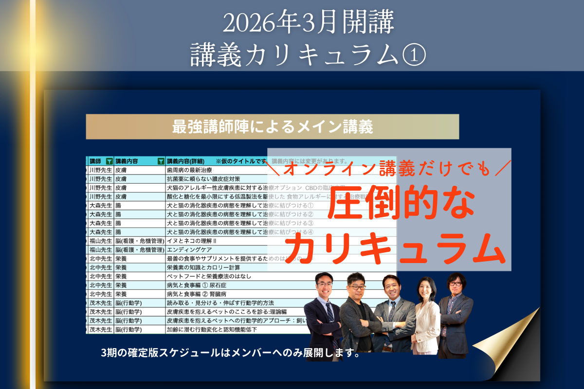 dAm犬猫皮膚アカデミー　インタラクティブ3期　2026年3月開講　エントリー受付中