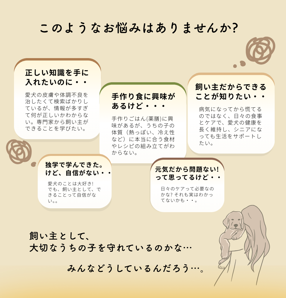 dAm犬猫皮膚アカデミーが展開する「犬の薬膳ごはんとおうち養生塾」2026年3月開講