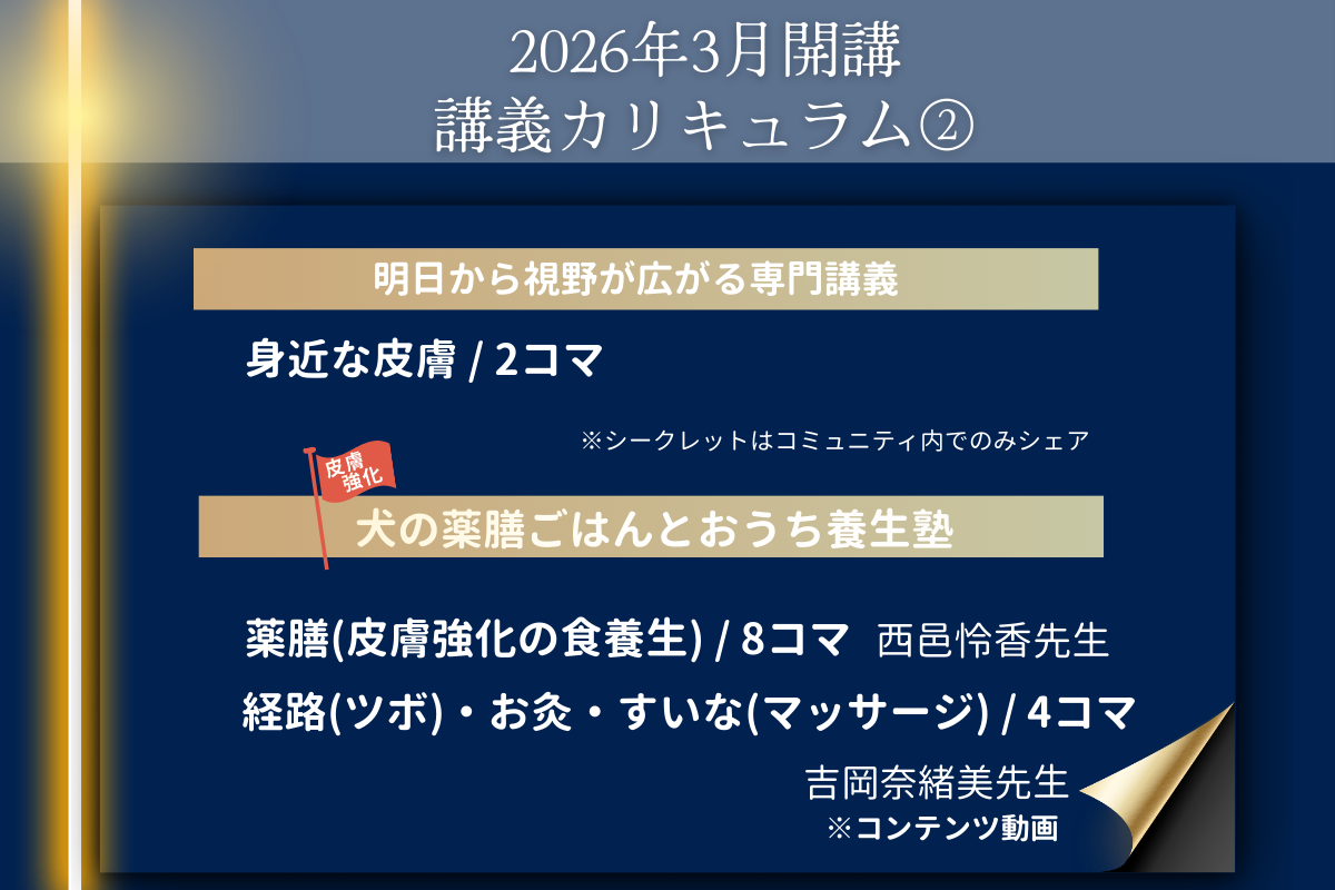 dAm犬猫皮膚アカデミー　インタラクティブ3期　2026年3月開講　エントリー受付中