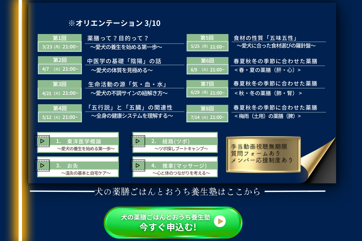 犬の薬膳ごはんとおうち養生塾　今期限定! 東洋医学を学べるチャンス