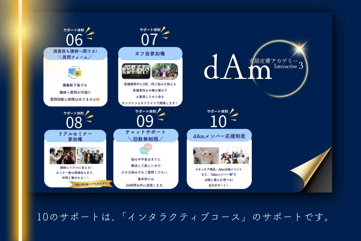 dAm犬猫皮膚アカデミー　インタラクティブ3期　2026年3月開講　エントリー受付中