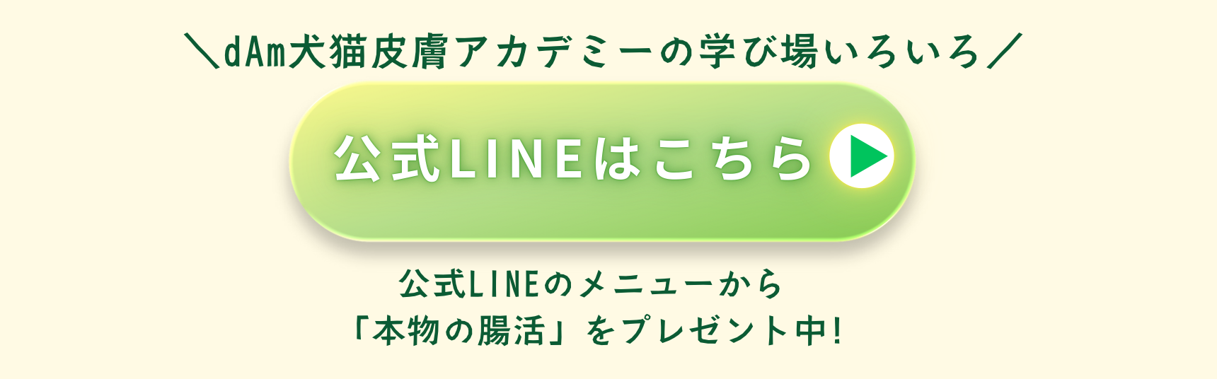 dAm犬猫皮膚アカデミーが展開する「犬の薬膳ごはんとおうち養生塾」2026年3月開講