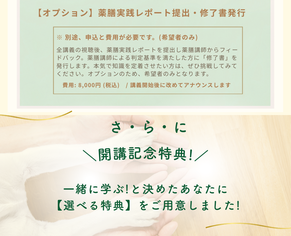 dAm犬猫皮膚アカデミーが展開する「犬の薬膳ごはんとおうち養生塾」2026年3月開講