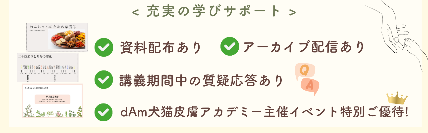 dAm犬猫皮膚アカデミーが展開する「犬の薬膳ごはんとおうち養生塾」2026年3月開講
