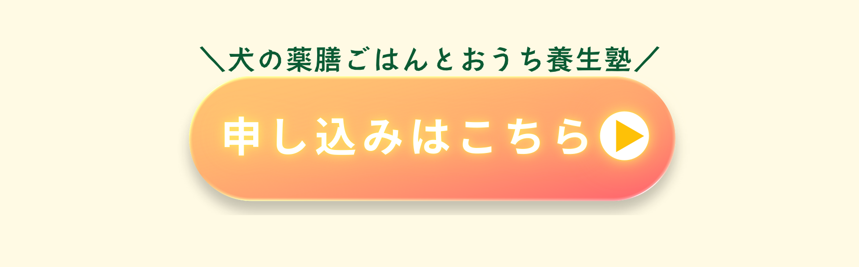 dAm犬猫皮膚アカデミーが展開する「犬の薬膳ごはんとおうち養生塾」2026年3月開講