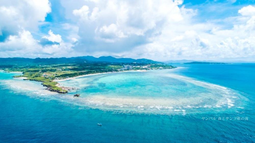 エメラルドグリーンの海を背景にした沖縄の少人数ウェディング