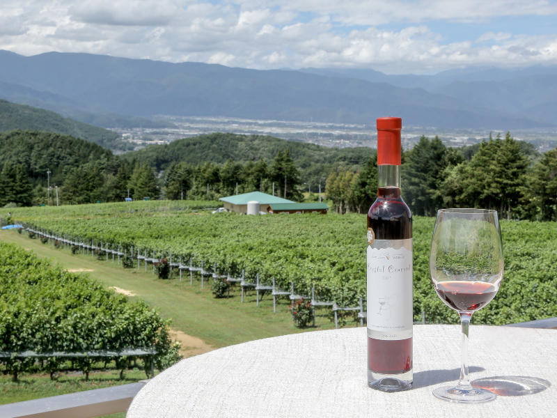 ワイン造り見学 | サンサンワイナリー | 長野県塩尻市柿沢ワイン直販
