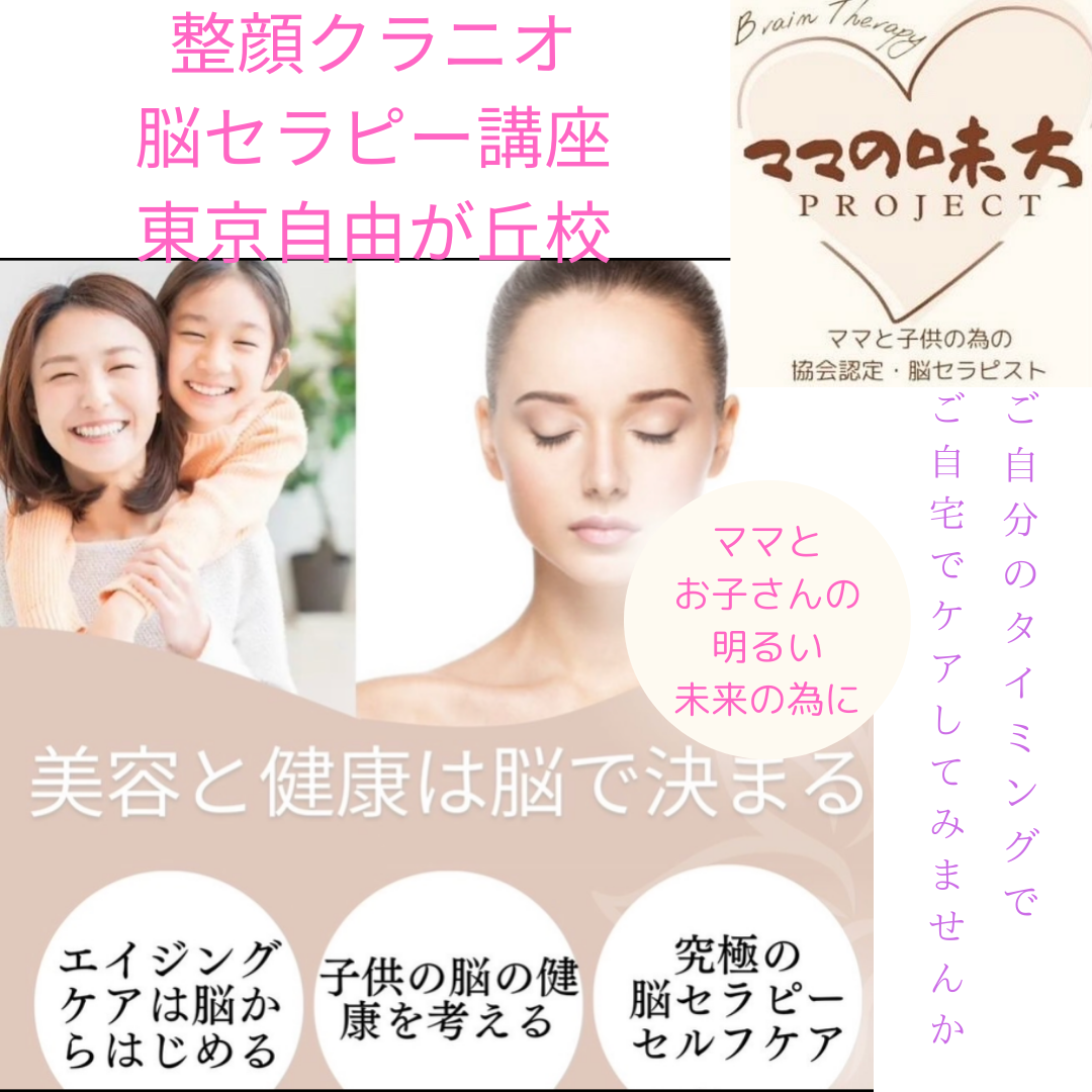 Somatic Cranial Work 頭蓋矯正法　セミナーテキスト整体　鍼灸 Somatic Cranial Work 頭蓋矯正法 セミナーテキスト整体 鍼灸
