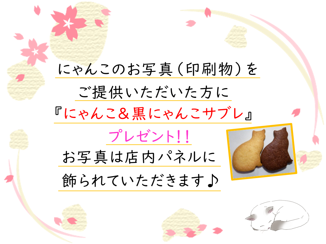 プレゼント企画！我が家のねこのお写真（印刷物）をご提供いただいた方に、にゃんこ＆黒にゃんこサブレをプレゼント！
