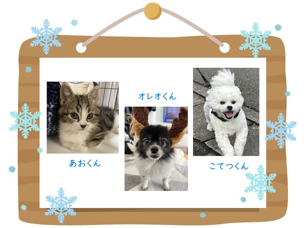 我が家のねこ自慢コーナー！かわいいお写真（印刷物）を店内パネルに飾らせていただきます♪