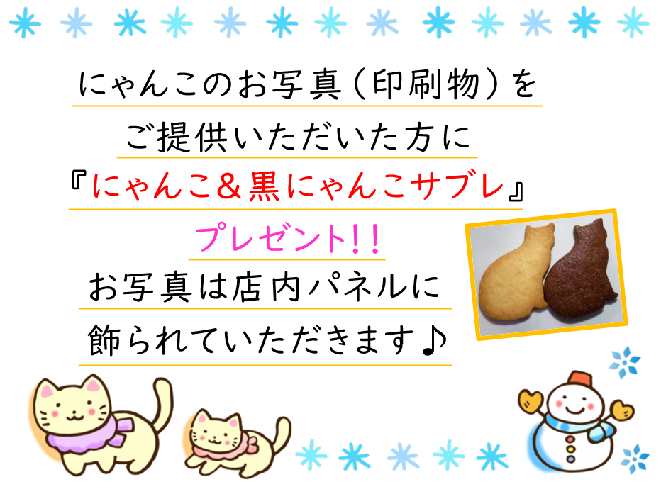 プレゼント企画！我が家のねこのお写真（印刷物）をご提供いただいた方に、にゃんこ＆黒にゃんこサブレをプレゼント！